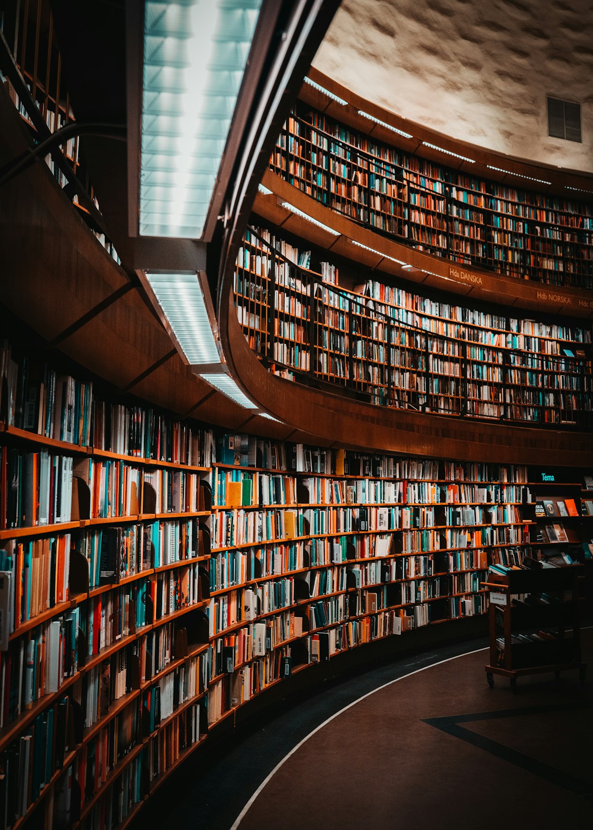 Estantes da Biblioteca Municipal — foto ilustrativa